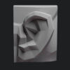 ear-3d-model