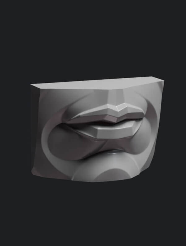 Modèle 3D de la bouche côté 2