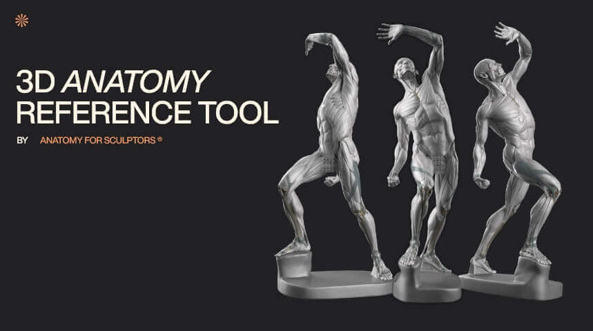 Ferramenta de referência 3D da Anatomy For Sculptors miniatura