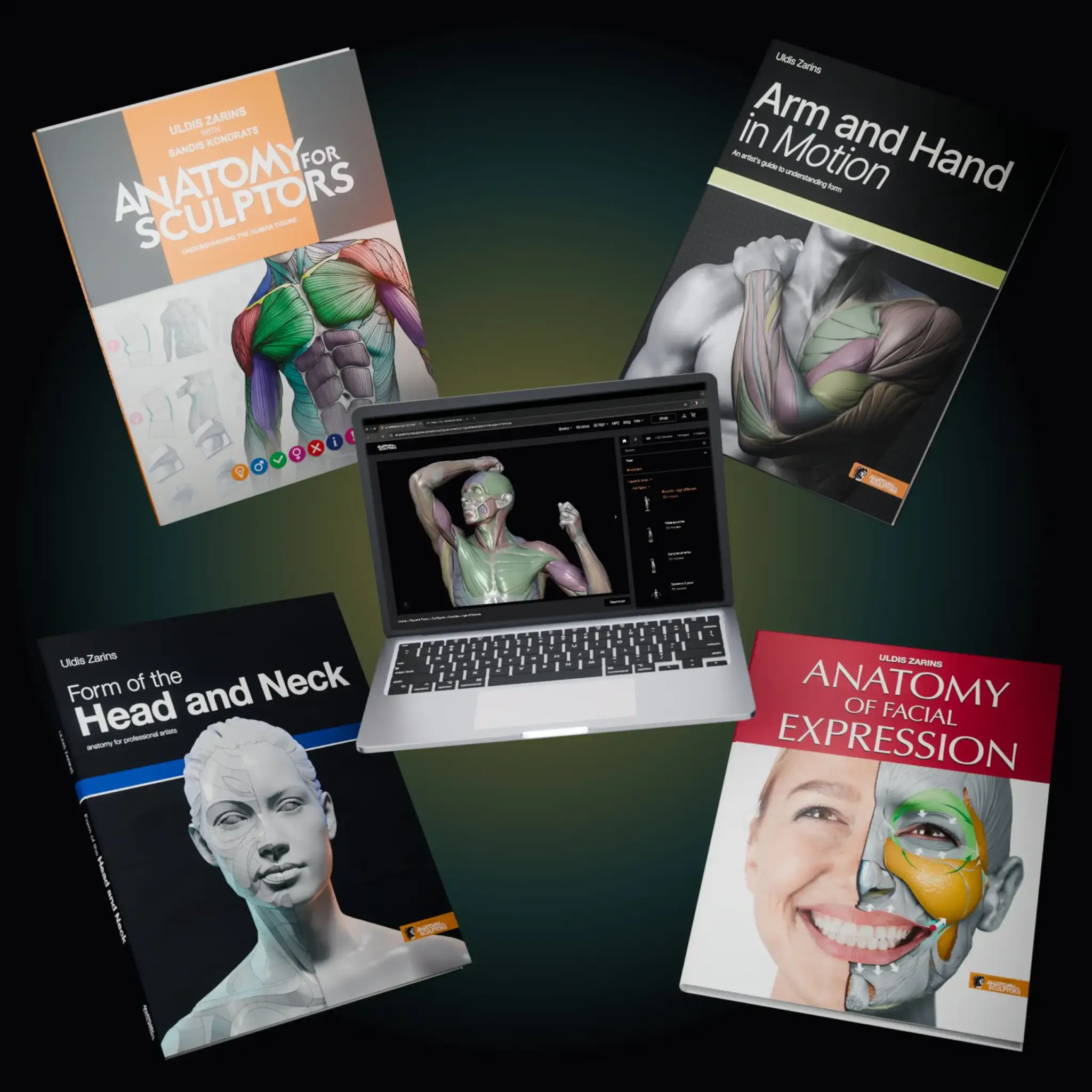 Anatomy For Sculptors homepage hero