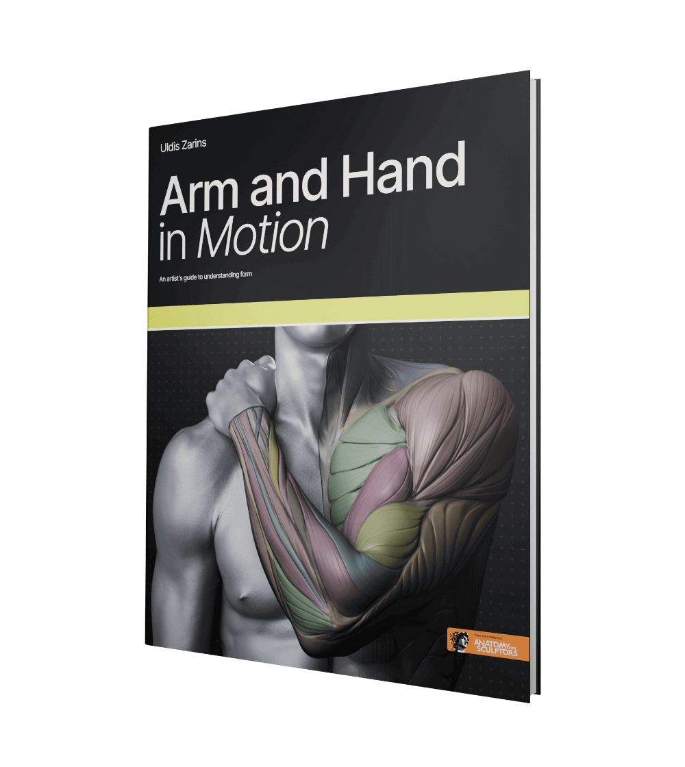 Arm-and-Hand-in-Motion