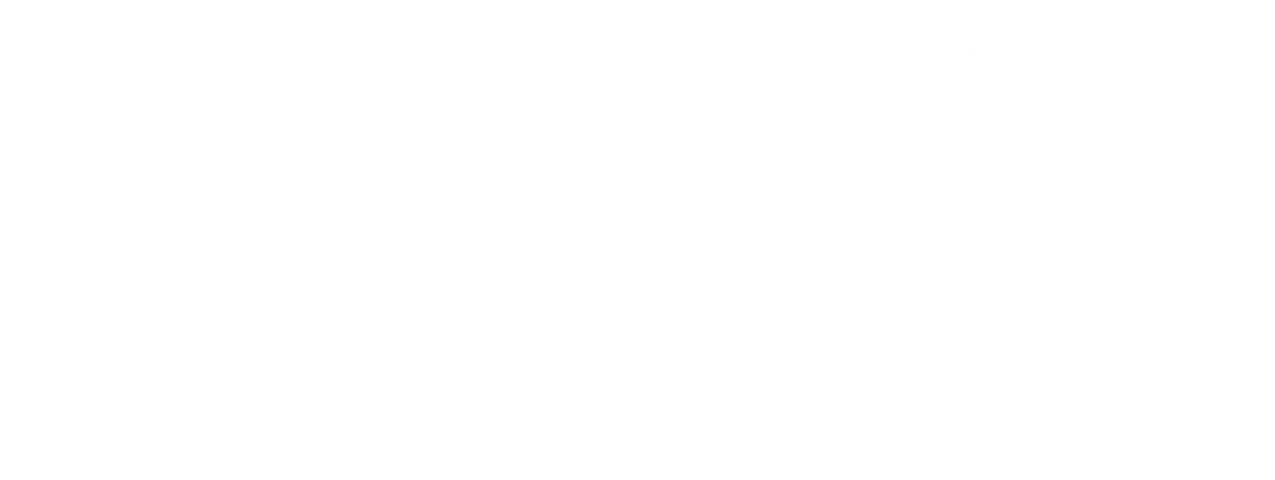 Logo Fortiche