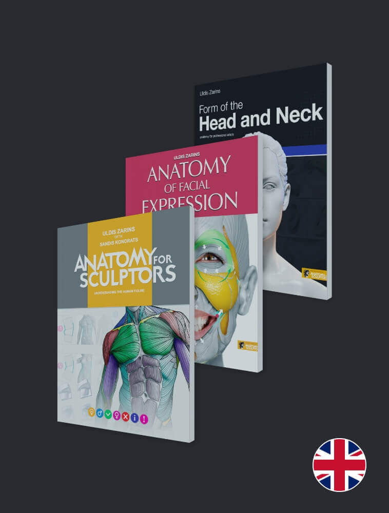 anatomia para escultores livros inglês