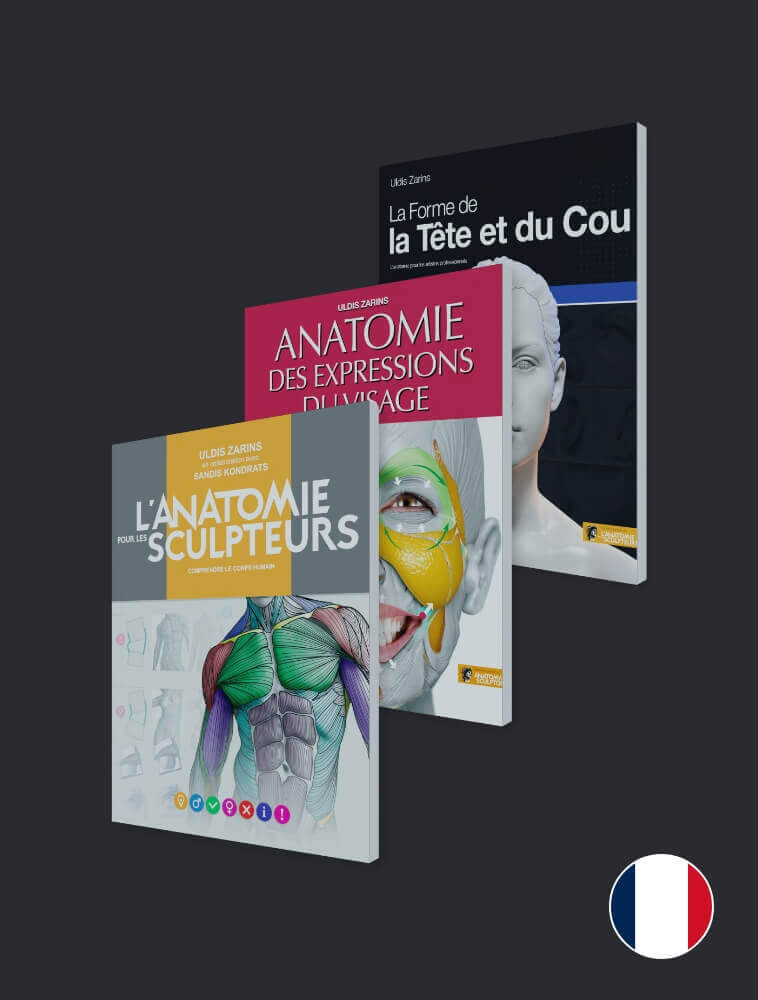 livros de anatomia para escultores francês