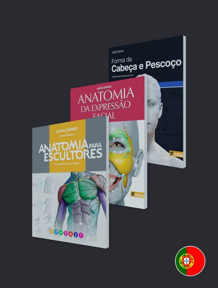 anatomie pour sculpteurs livres portugais