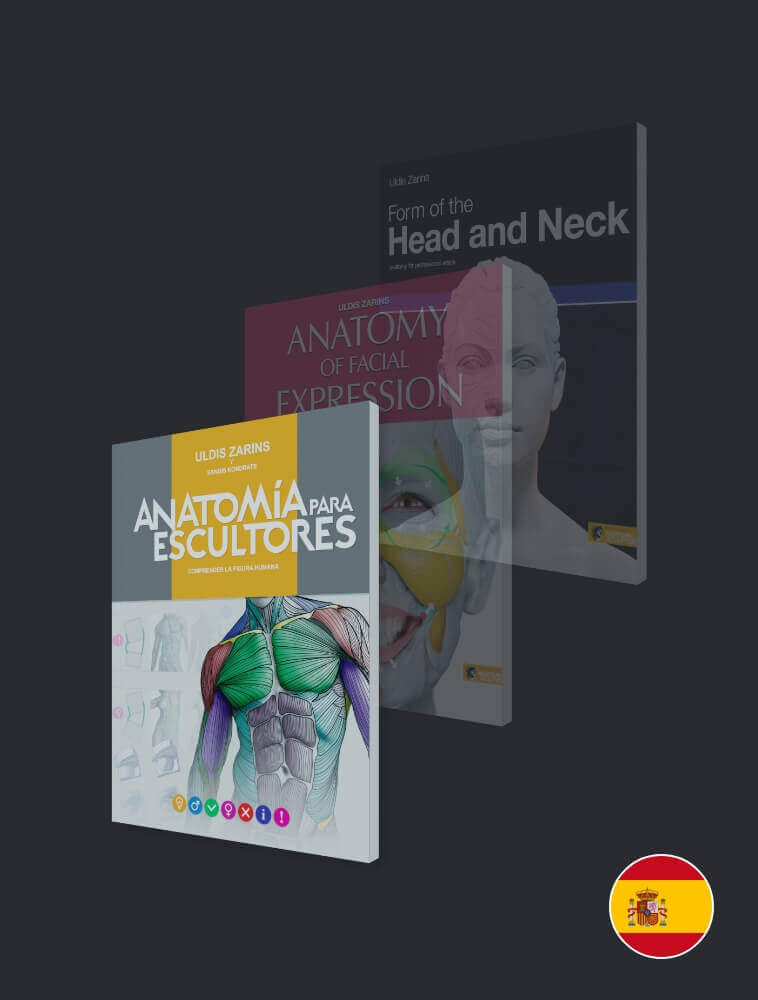 anatomie pour sculpteurs livres espagnol