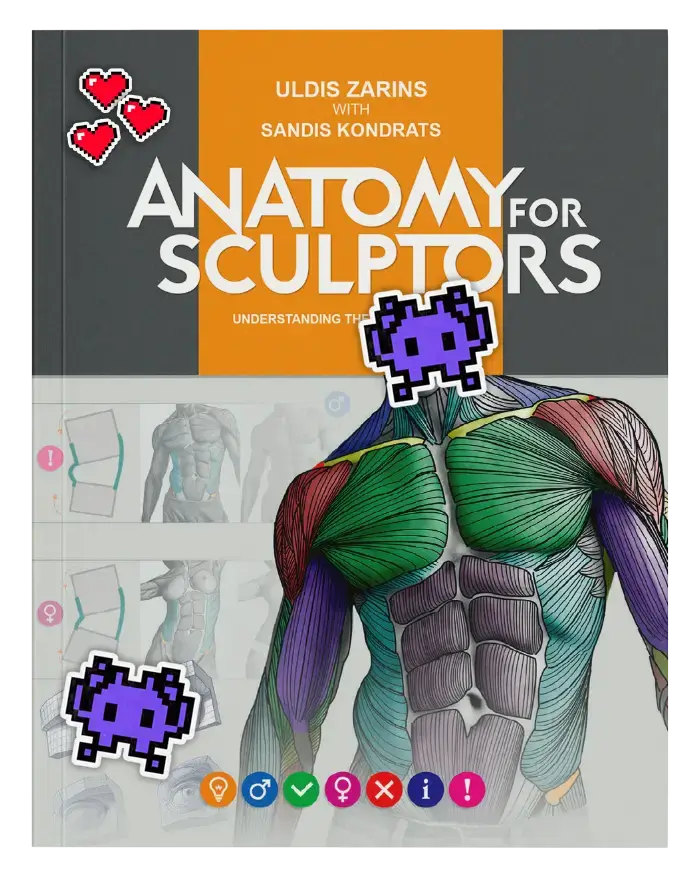 Understanding the human figure by Anatomy For Sculptors sticker