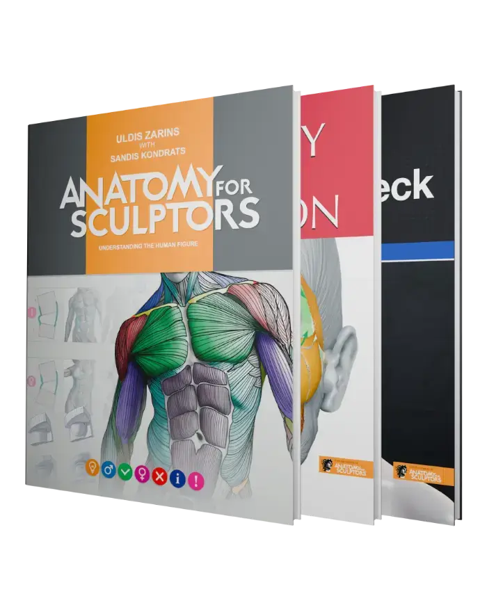 anatomy for sculptors book series bundle homepage product image