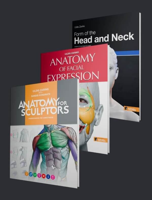 Anatomy For Sculptors book series bundle