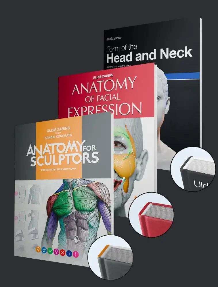 anatomy for sculptors book series hardcover bundle shop image