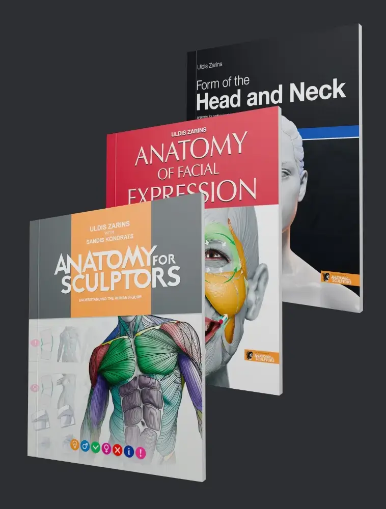 anatomy for sculptors book series paperback bundle shop image