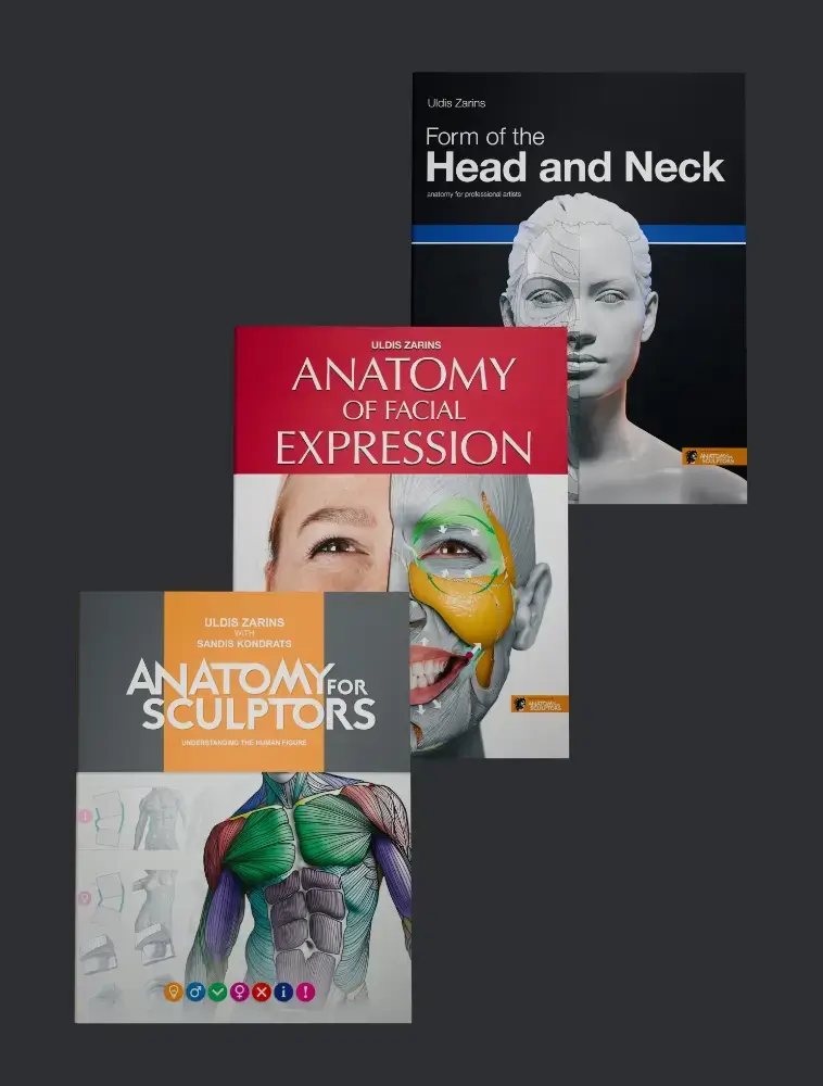 anatomy for sculptors book series pdf ebook bundle shop image