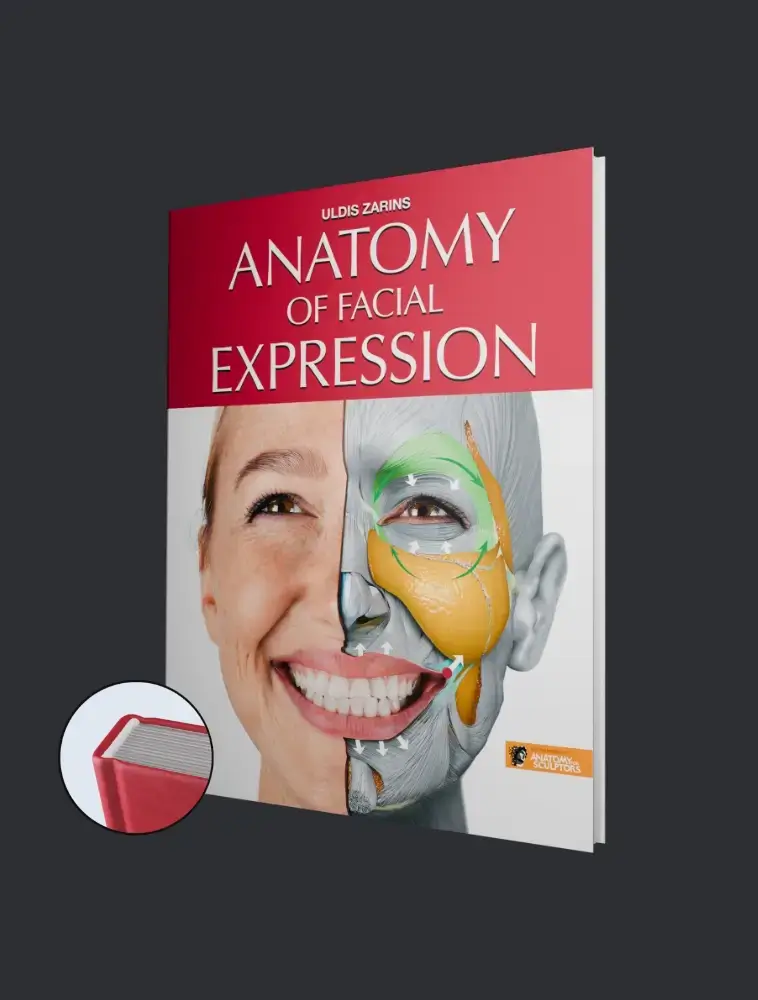 anatomy of facial expression hardcover shop image