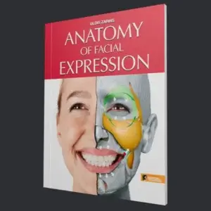 Anatomy of Facial Expression