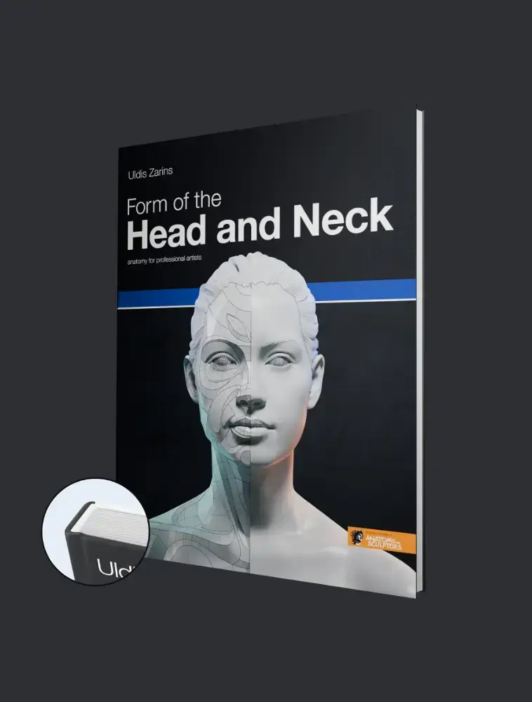 form of the head and neck hardcover shop image