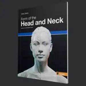 Forma de la cabeza y el cuello