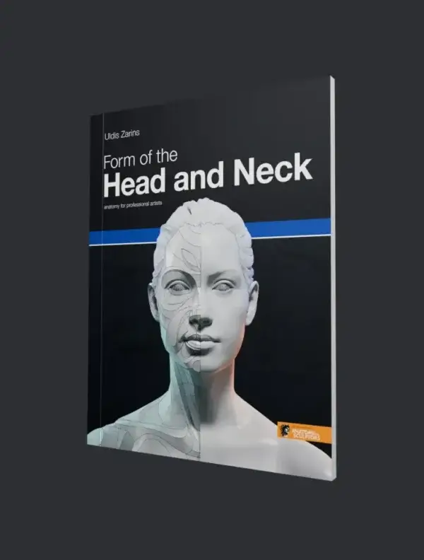 Forma de la cabeza y el cuello
