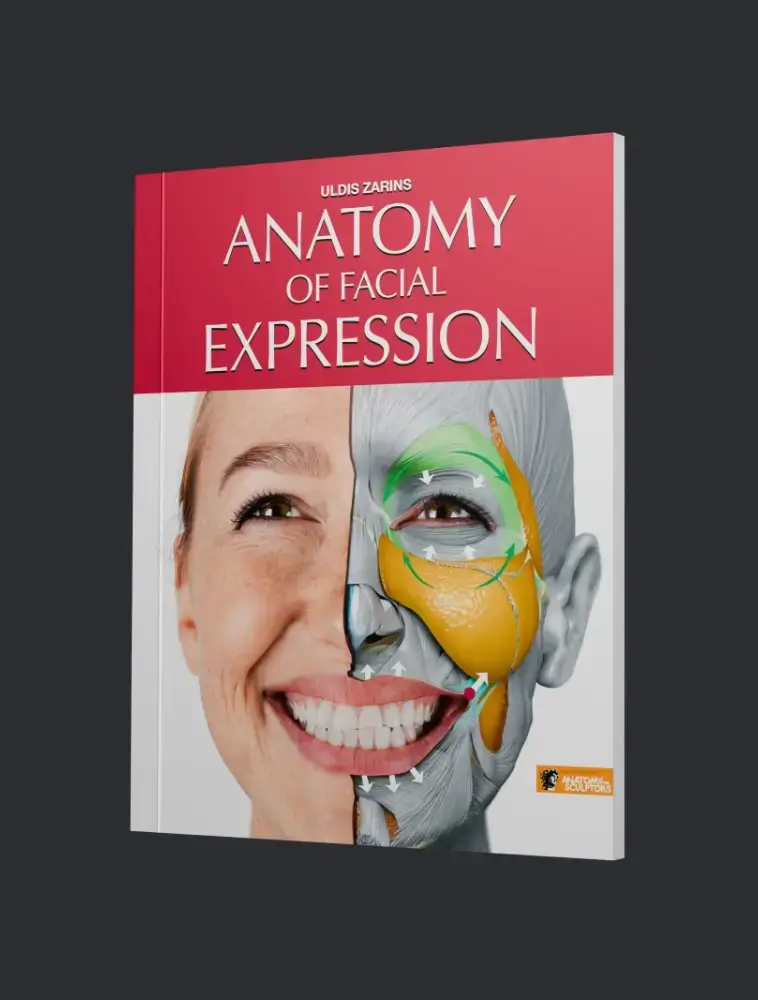 AFE-Paperback-English.webp