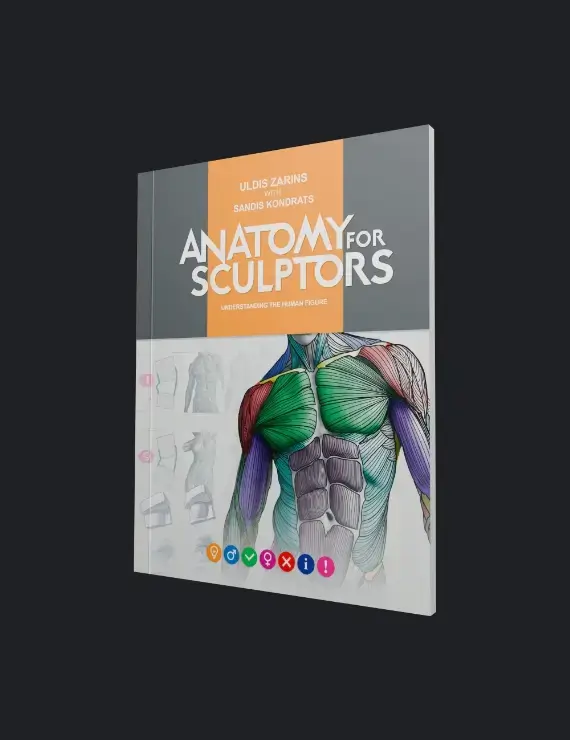 Anatomia para Escultores - Compreendendo a Figura Humana - Loja