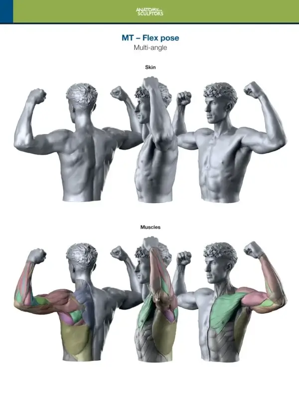 Arm and Hand in Motion – Bild 5