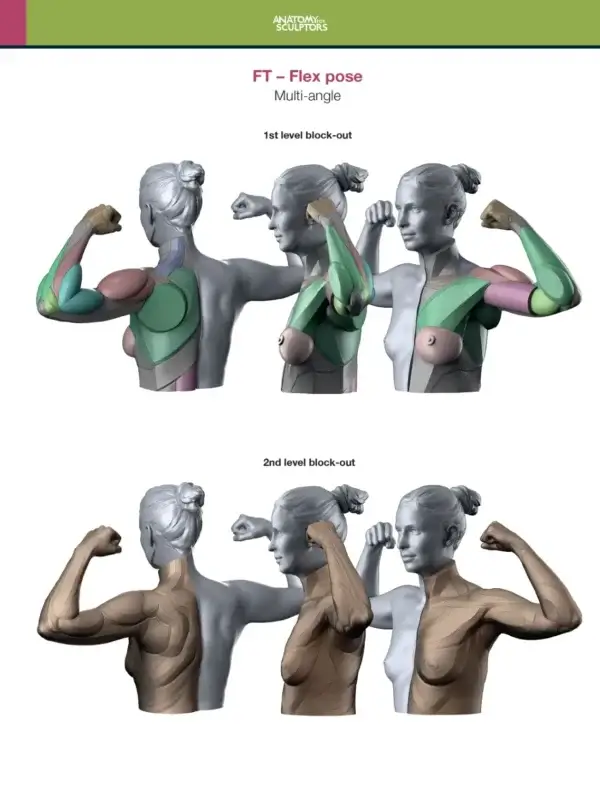 Arm and Hand in Motion – Bild 6