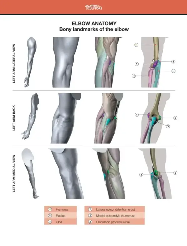 Arm and Hand in Motion – Bild 7