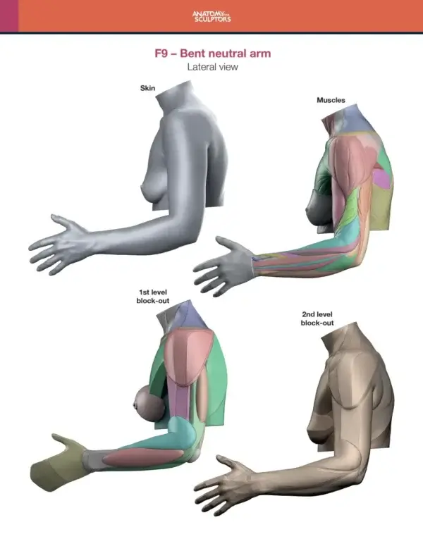 Arm and Hand in Motion – Bild 8