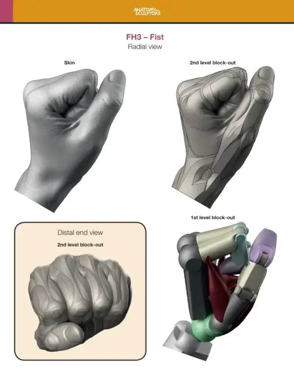 Arm and Hand in Motion – Bild 9