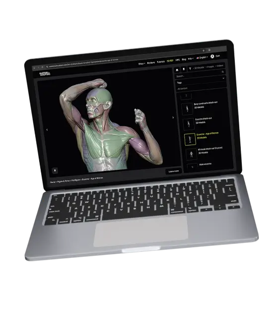 3D REF Tool Premiums hop page 1 1