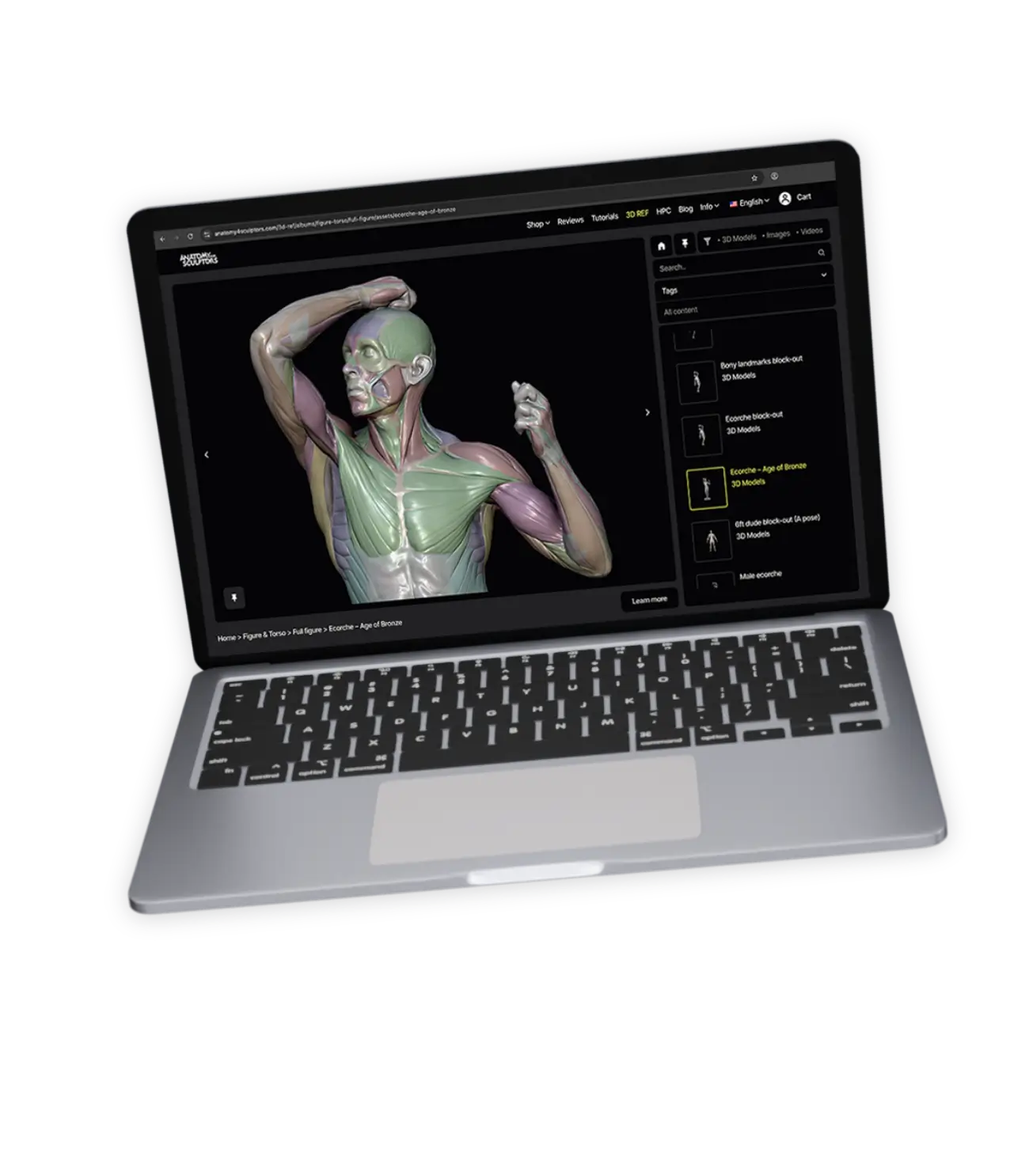 3D-REF-main-shop-img