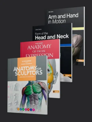 Anatomía para escultores - Paquete de libros en rústica - Imagen del producto