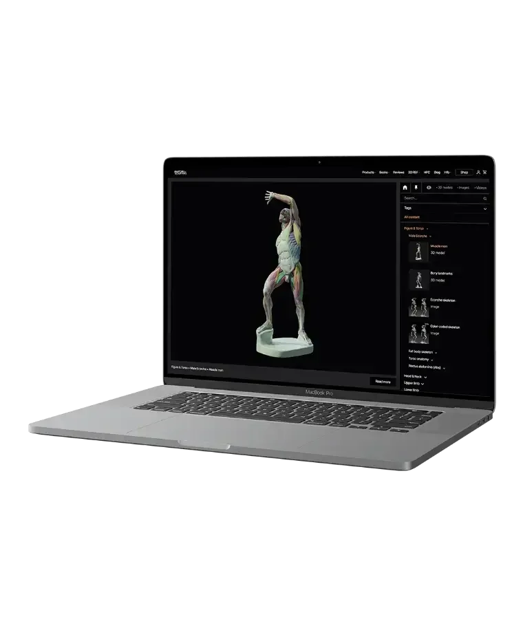 3D-Ref-premium-by-Anatomy-For-Sculptors-homepage