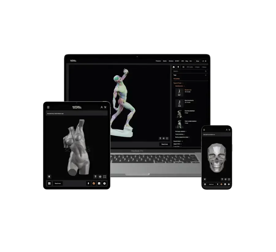 Produtos digitais Anatomia para Escultores