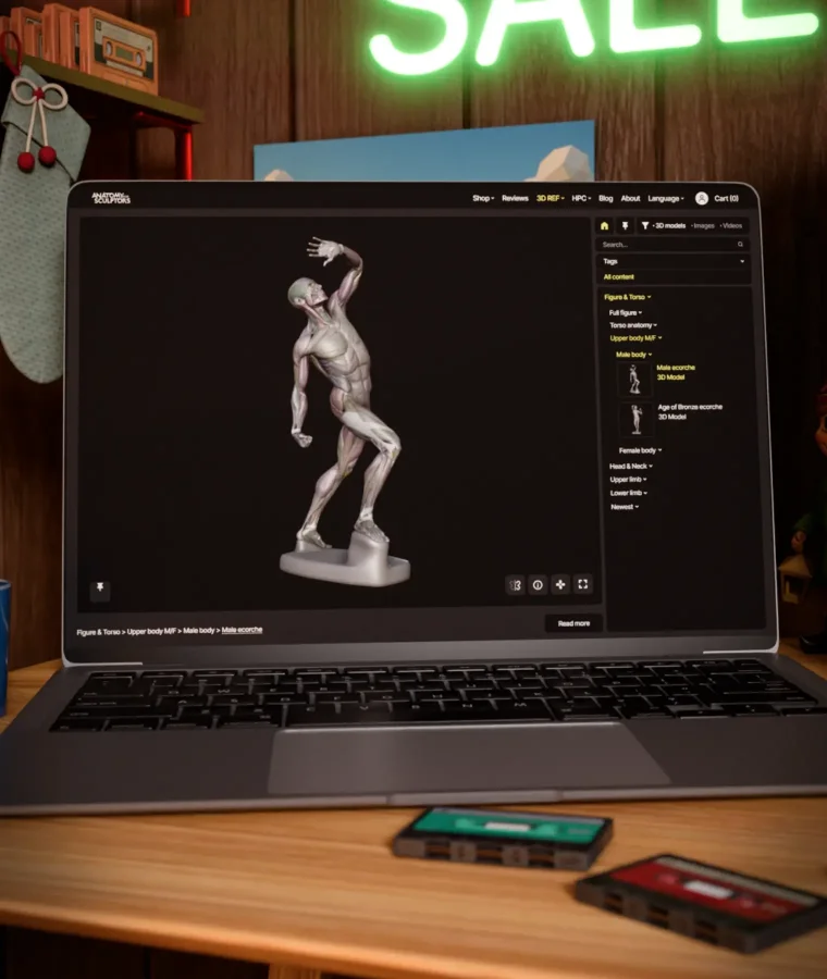 3d-ref-holiday-homepage-bg