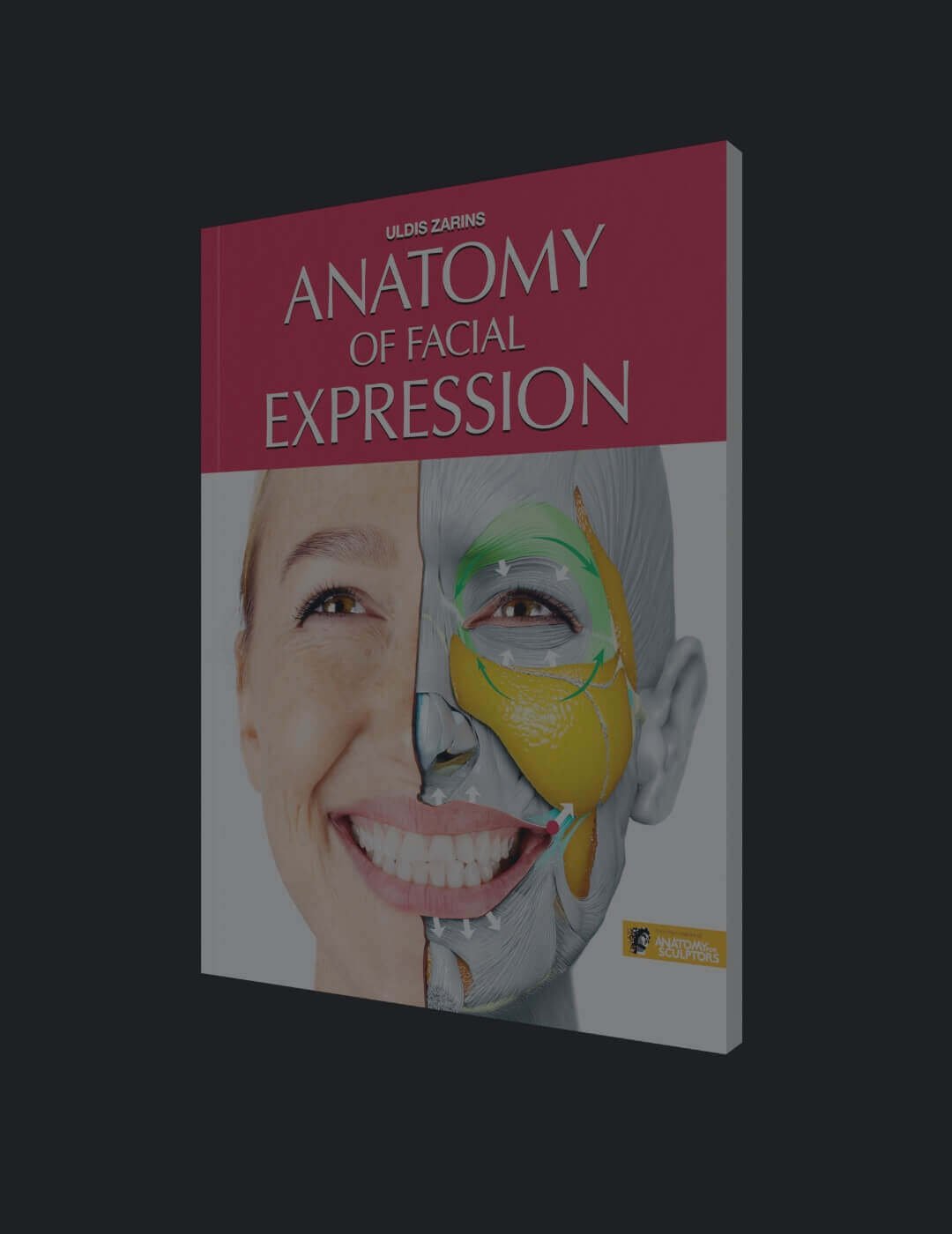 Anatomía de la Expresión Facial​