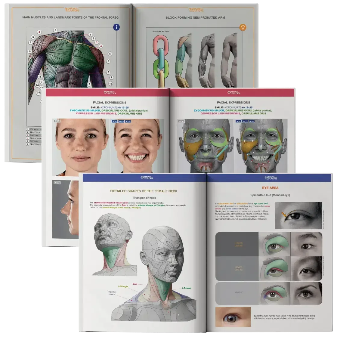 Anatomy-For-Sculptors-book-series