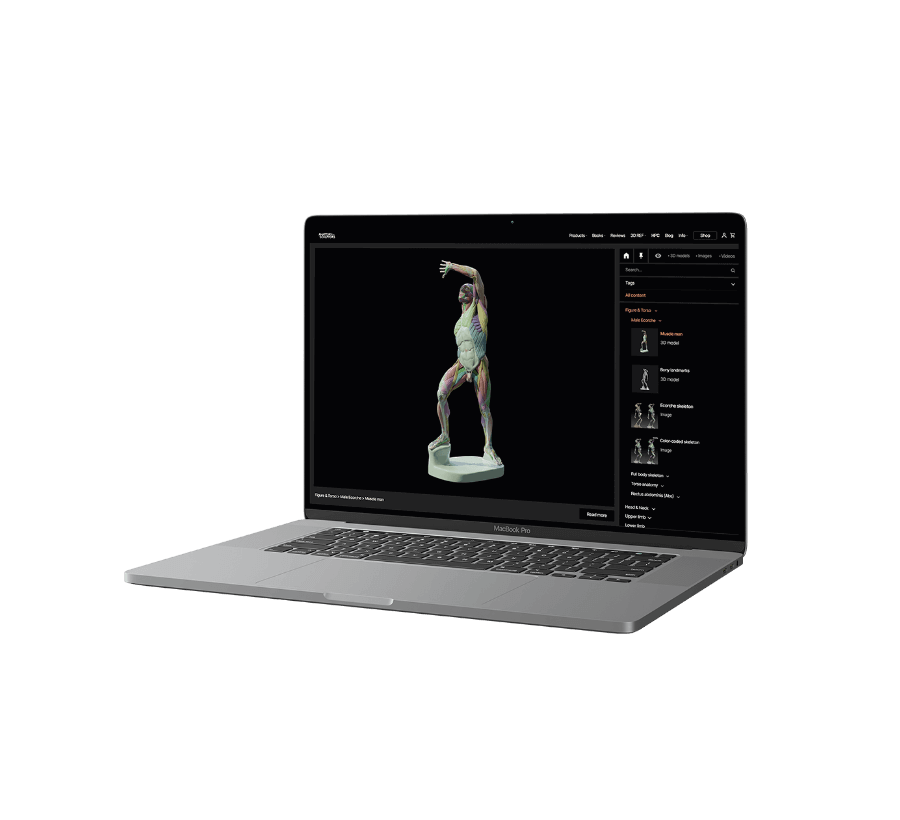 Produits numériques Anatomie pour sculpteurs