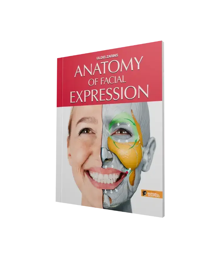 Anatomy-of-Facial-Expression-by-Anatomy-For-Sculptors-homepage