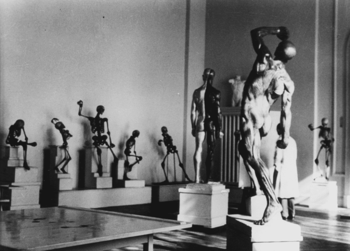 Interior-of-the-anatomical-collection-of-the-Dresden-Art-College-with-life-sized-L_ecorche-combattant-anatomy-for-sculptors_1024x1024