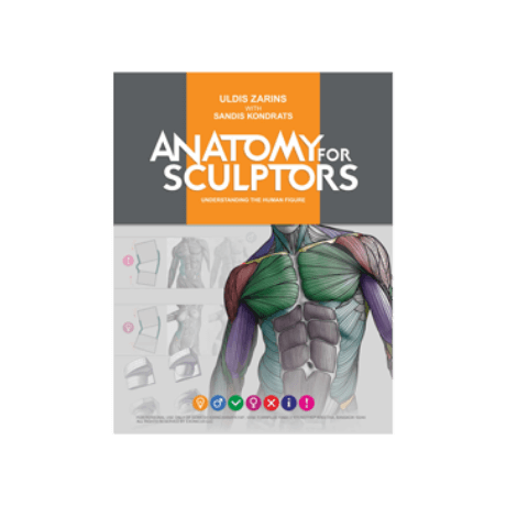 anatomy for sculptors, understanding the human figure pdf ebook