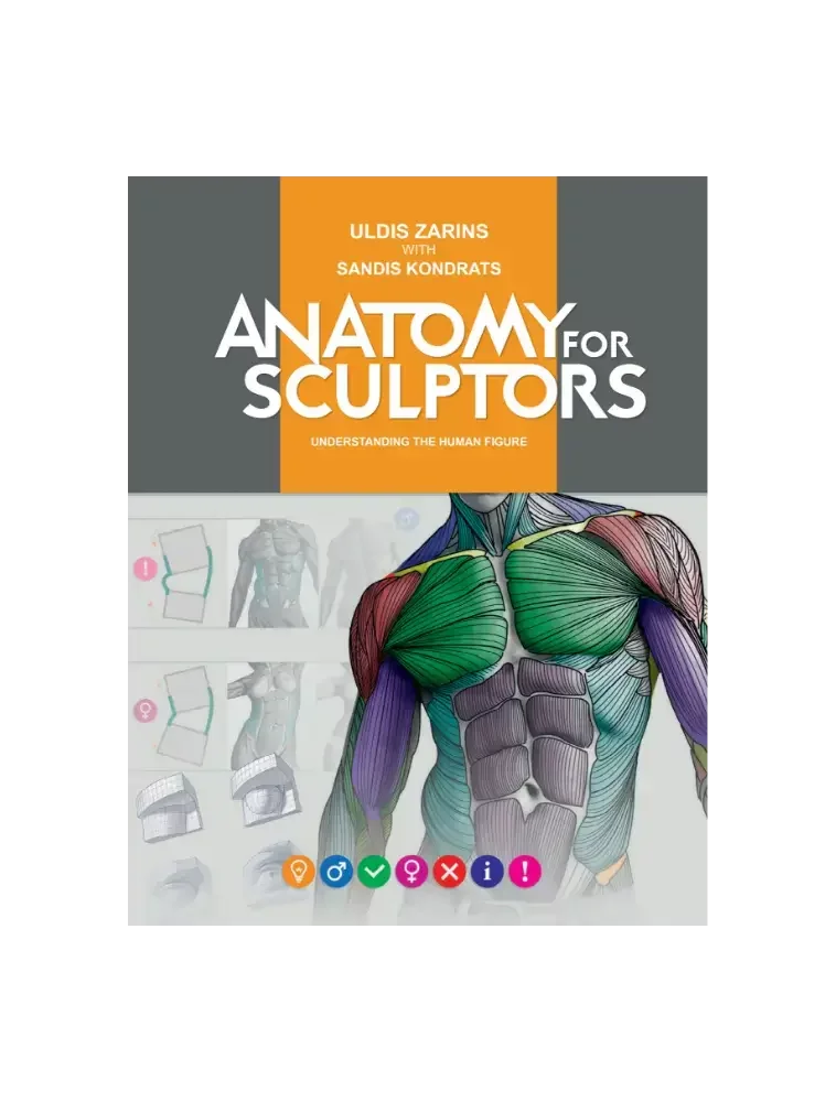 anatomy-for-sculptors-understanding-the-human-figure-pdf-ebook-single-product-page