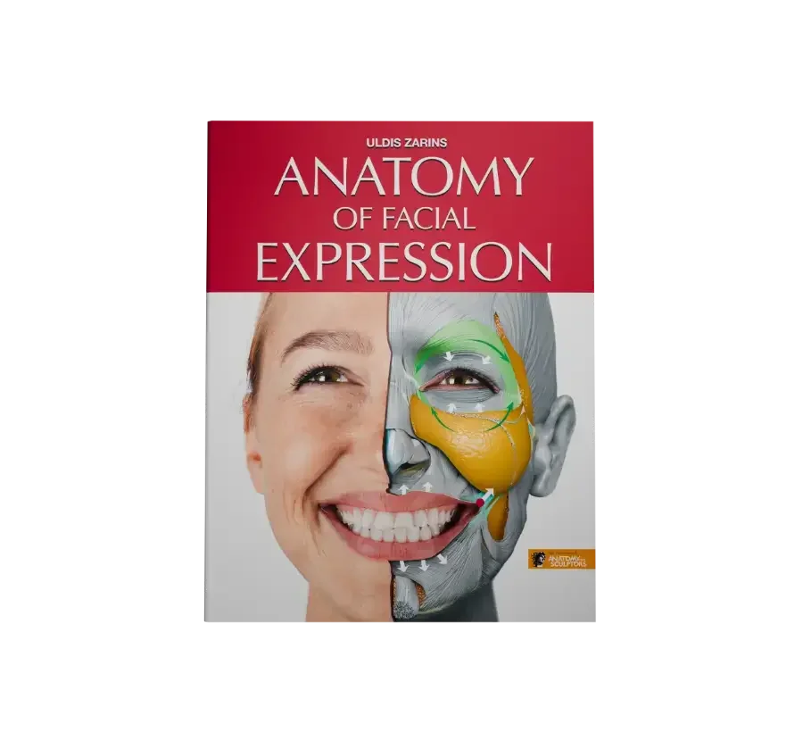 anatomy-of-facial-expression-book-by-anatomy-for-sculptors