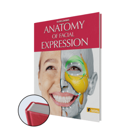 anatomy of facial expression by anatomy for sculptors hardcover