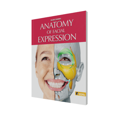 anatomy of facial expression by anatomy for sculptors paperback