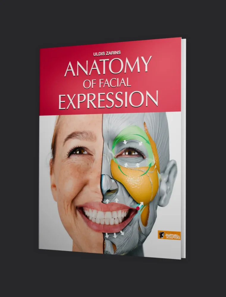 anatomy-of-facial-expression-v2-homepage-bg