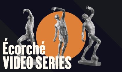 ecorche-video-series-thumbnail