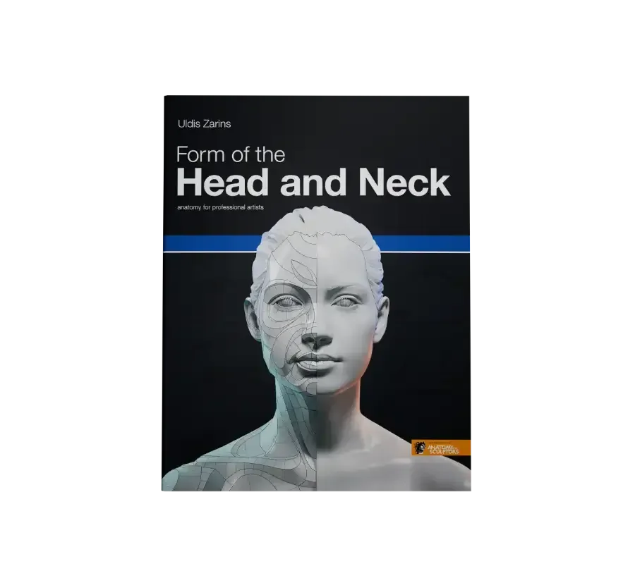 Form of the Head and Neck book by Anatomy For Sculptors