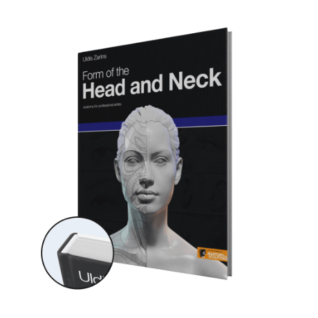 form of the head and neck by anatomy for sculptors hardcover