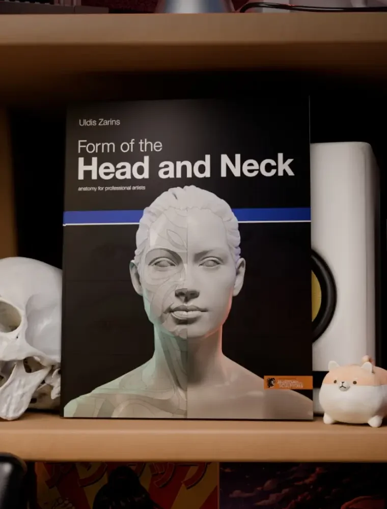 form-of-the-head-and-neck-homepage.webp