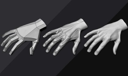 hands anatomy for artists blog by anatomy for sculptors